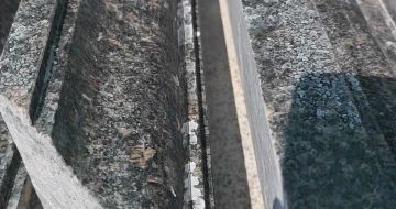 荆门英国棕别墅线条